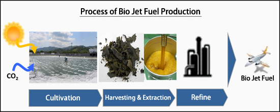 Process of Bio Jet Fuel Production
