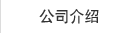 公司介绍