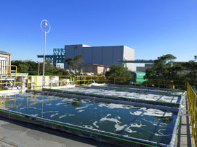 external_image