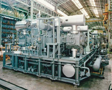 reciprocating compressor Skid type