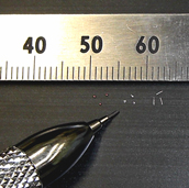 Examples of detectable conductive particles