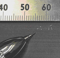Examples of detectable conductive particles
