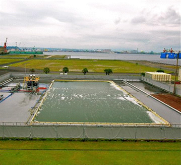 Success in massive scale algae cultivation for Biofuel