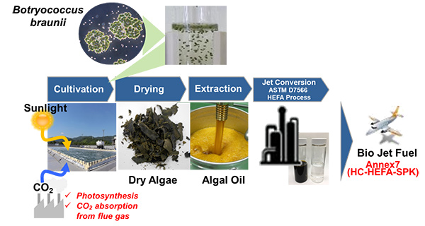Bio-jet Fuel Manufactured from Microalgae Receives ASTM International Standard Certification