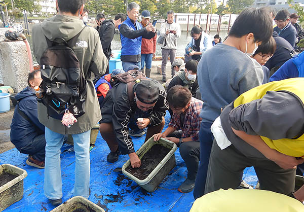 Seed planting