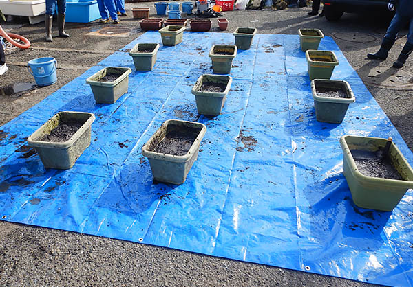 Planters once the seed planting had been completed