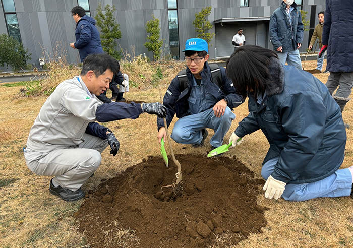 Planting a tree