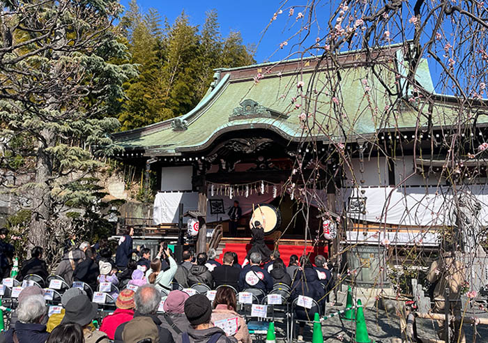 The Sugita Plum Festival