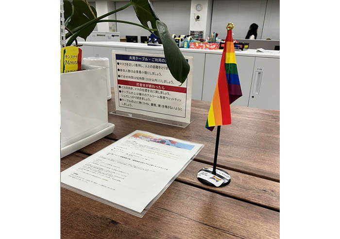 Display of rainbow flag