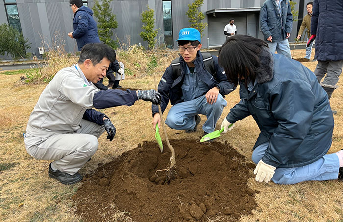 Planting a Sugita Plum tree
