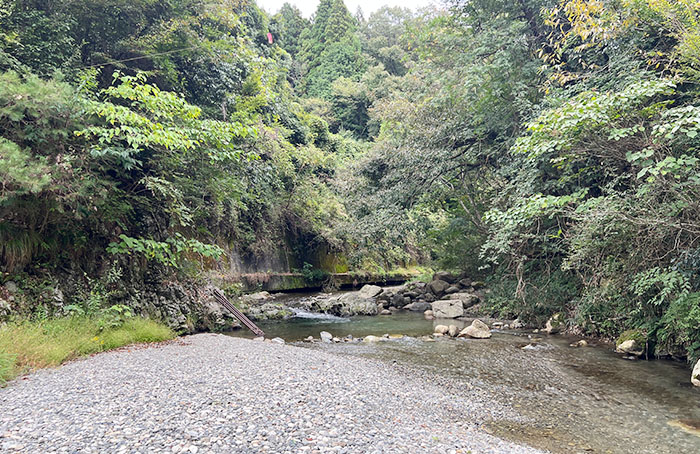 Biwa trout swim upstream about 30 km to the Shibu River to spawn, where they end their lives.