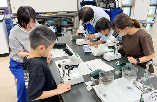 Participants observe soil organisms