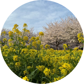 undefinedの休日の写真