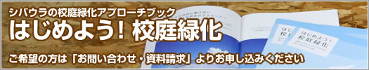 はじめよう！校庭緑化