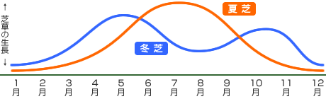 図：夏芝と冬芝の生長時期の比較グラフ