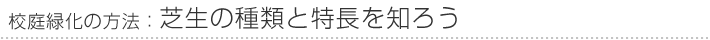 校庭緑化の方法：芝生の種類と特長を知ろう