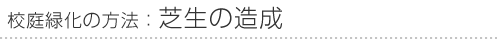 校庭緑化の方法：芝生の造成