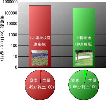 Y小学校校庭（東京都）と公園芝地（神奈川県）土壌の分析結果（生菌数と窒素含量）