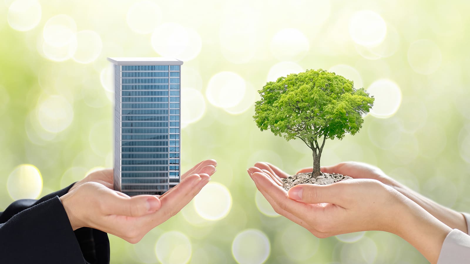 脱炭素とカーボンニュートラルの違い02