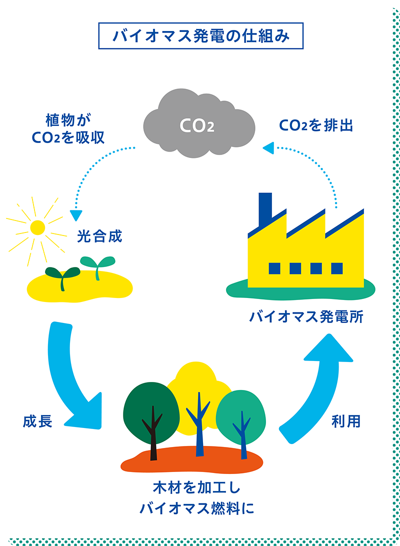バイオマス発電の仕組み