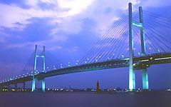 Cable-Stayed Bridge