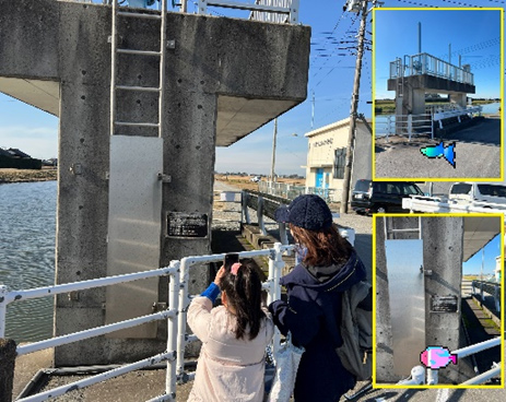 「水門アクアリウム」市民参加で社会インフラとまちを守る