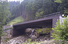 ごろごろ橋（奈良県）