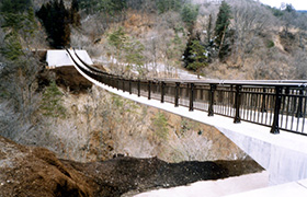 農村公園吊橋（長野県）
