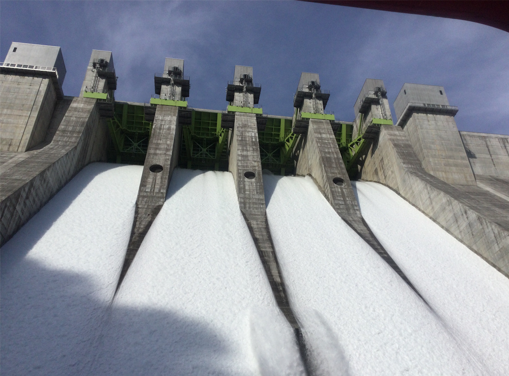 フォトギャラリー