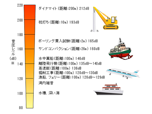 様々な水中の音