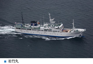 1.官公庁船