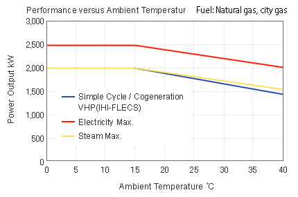 Fuel: Natural gas, city gas 