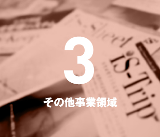 4 その他事業領域