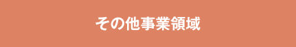 その他事業領域
