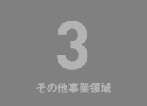 4 その他事業領域