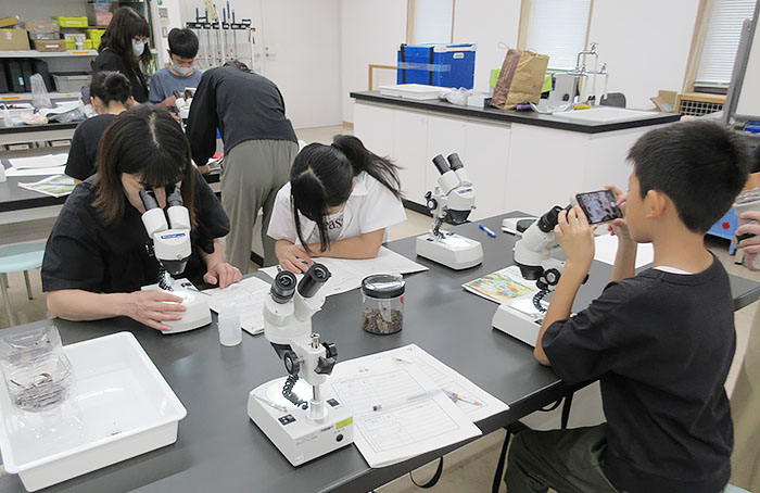 土壌動物を観察する様子
