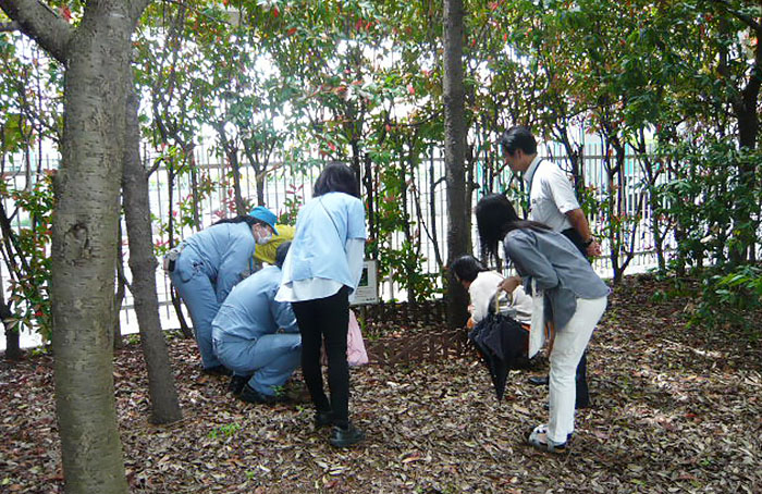 植物観察する従業員