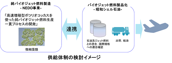 藻類由来バイオジェット燃料の商用化に向け，供給体制構築の検討を開始