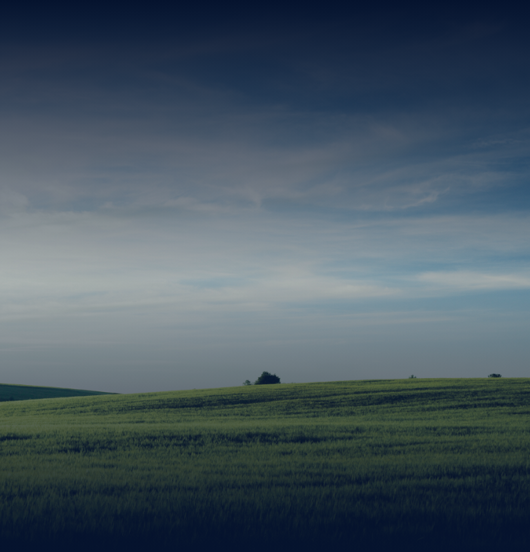 背景