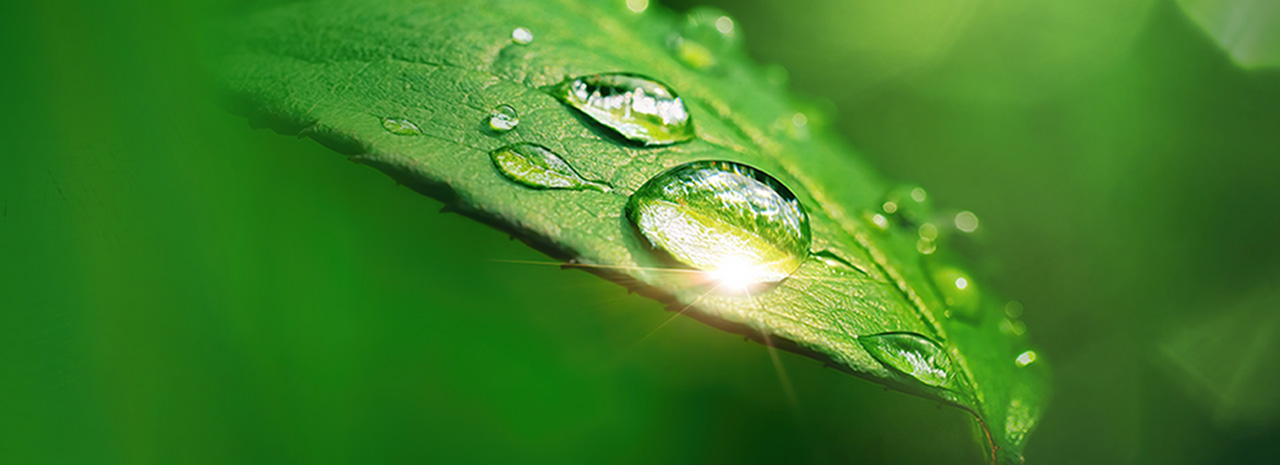 Image of Carbon Neutrality
